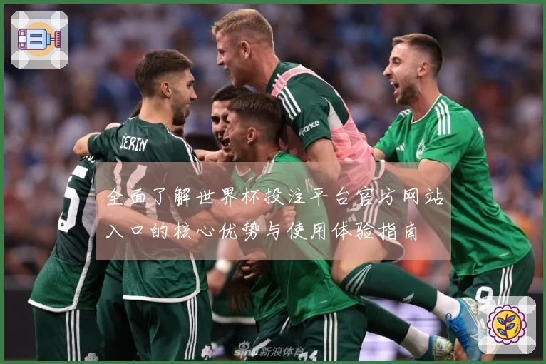 全面了解世界杯投注平台官方网站入口的核心优势与使用体验指南