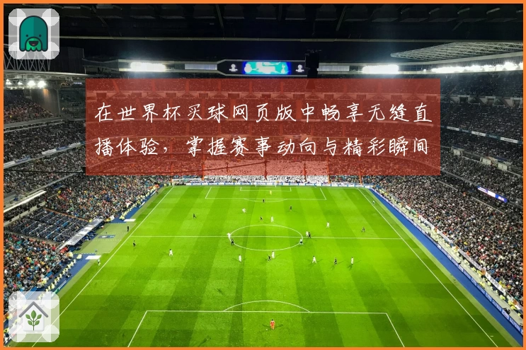 在世界杯买球网页版中畅享无缝直播体验，掌握赛事动向与精彩瞬间