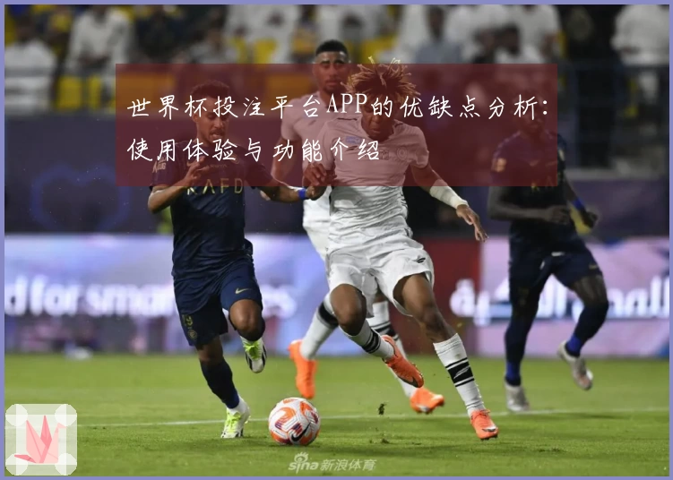 世界杯投注平台APP的优缺点分析：使用体验与功能介绍