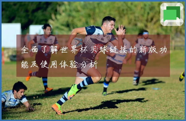 全面了解世界杯买球链接的新版功能及使用体验分析