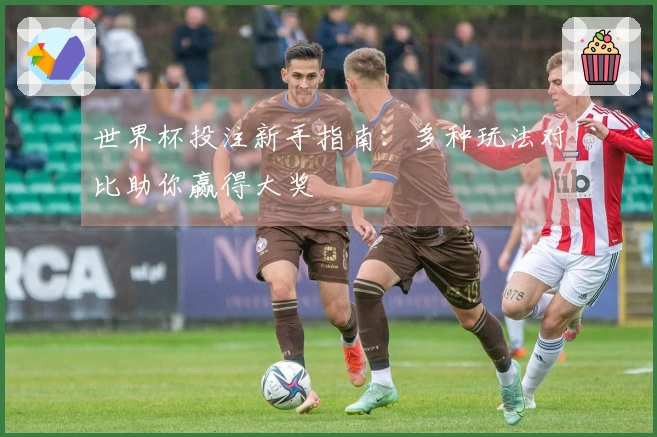 世界杯投注新手指南：多种玩法对比助你赢得大奖