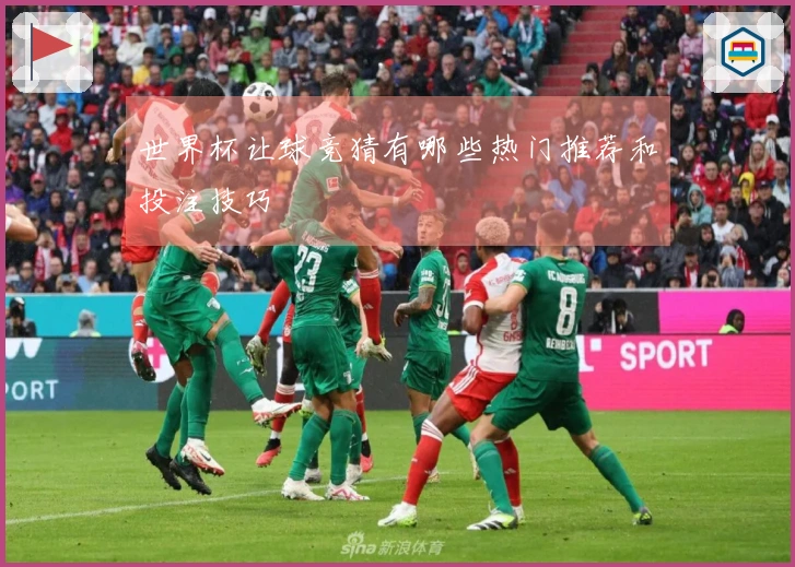 世界杯让球竞猜有哪些热门推荐和投注技巧