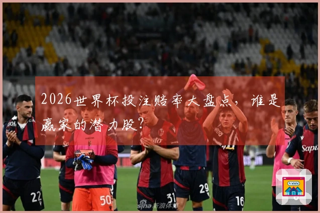 2026世界杯投注赔率大盘点，谁是赢家的潜力股？