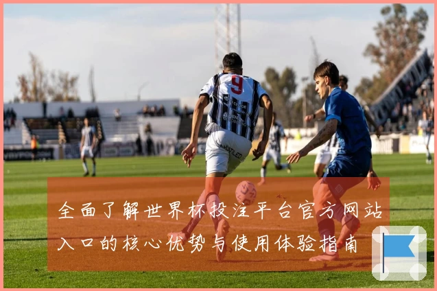 全面了解世界杯投注平台官方网站入口的核心优势与使用体验指南