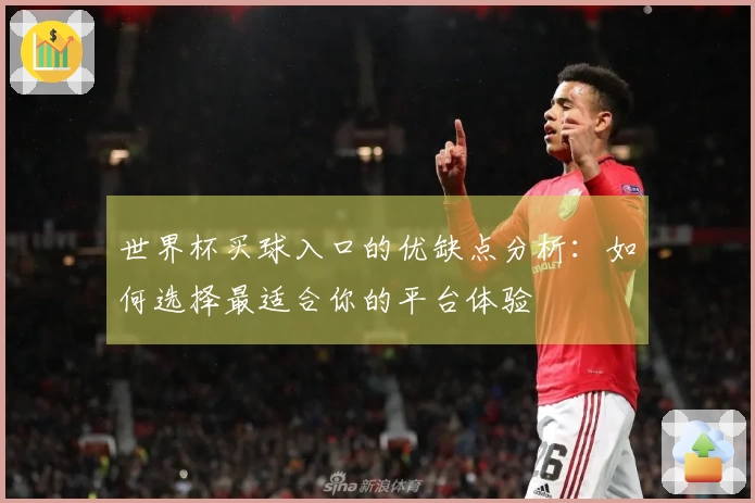 世界杯买球入口的优缺点分析：如何选择最适合你的平台体验