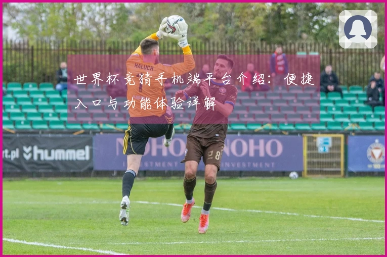 世界杯竞猜手机端平台介绍：便捷入口与功能体验详解
